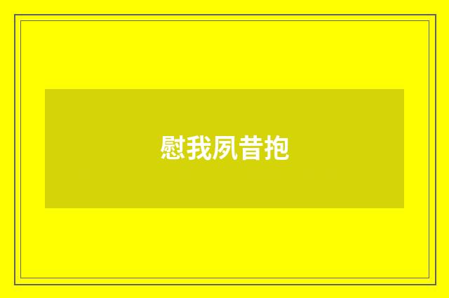 慰我夙昔抱