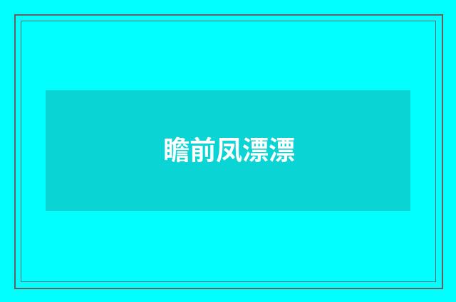 瞻前凤漂漂
