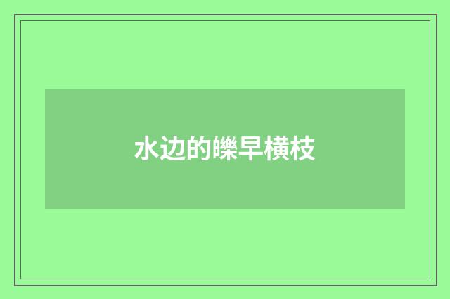 水边的皪早横枝