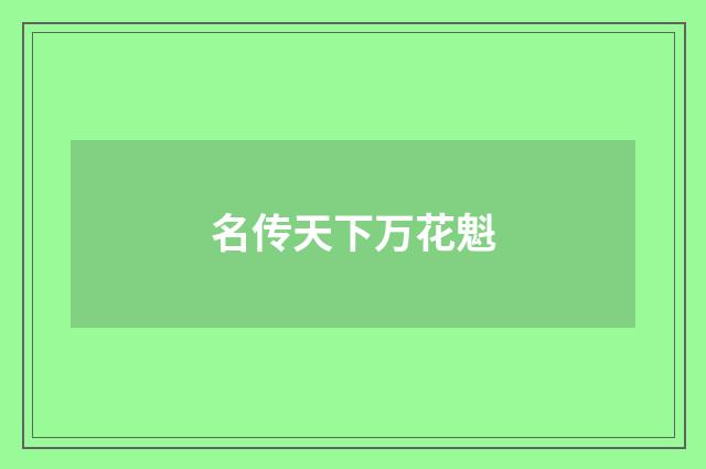 名传天下万花魁