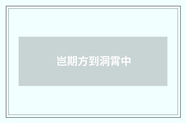 岂期方到洞霄中