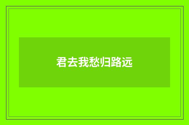 君去我愁归路远