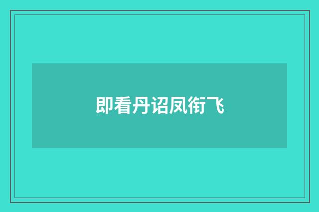 即看丹诏凤衔飞