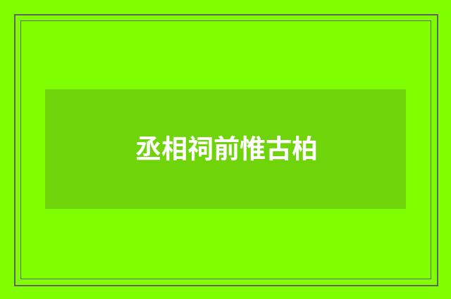 丞相祠前惟古柏