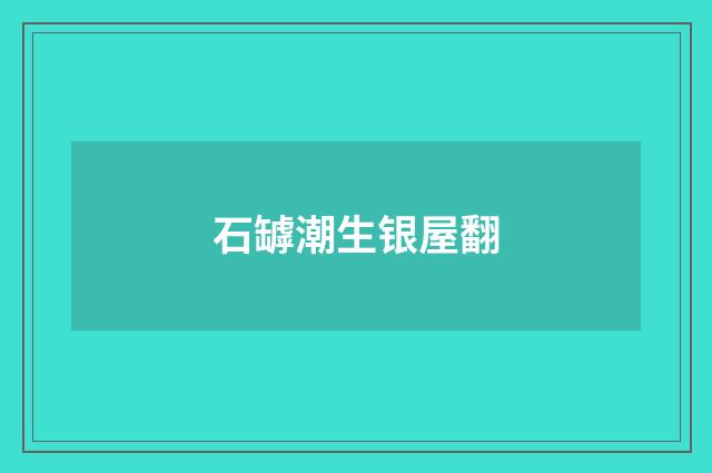 石罅潮生银屋翻