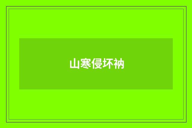 山寒侵坏衲