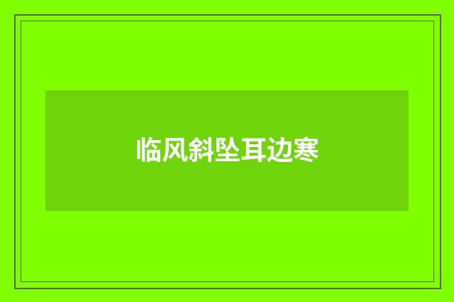 临风斜坠耳边寒