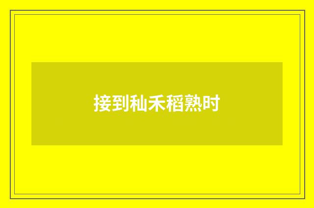 接到秈禾稻熟时