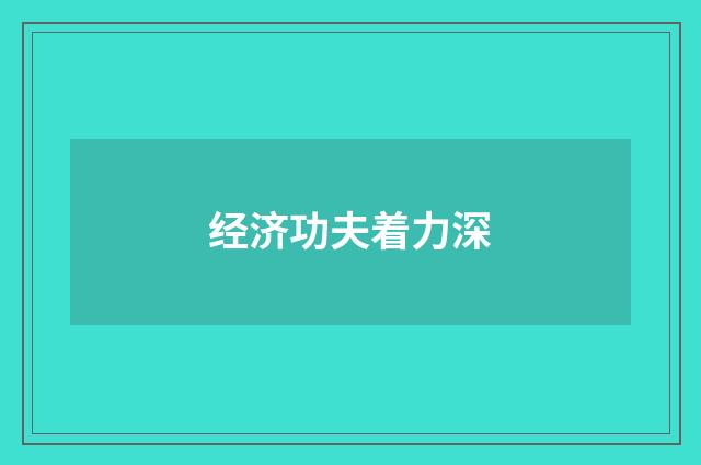 经济功夫着力深