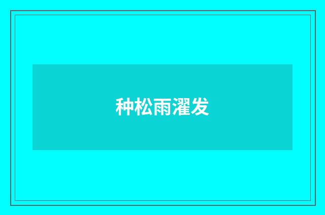 种松雨濯发