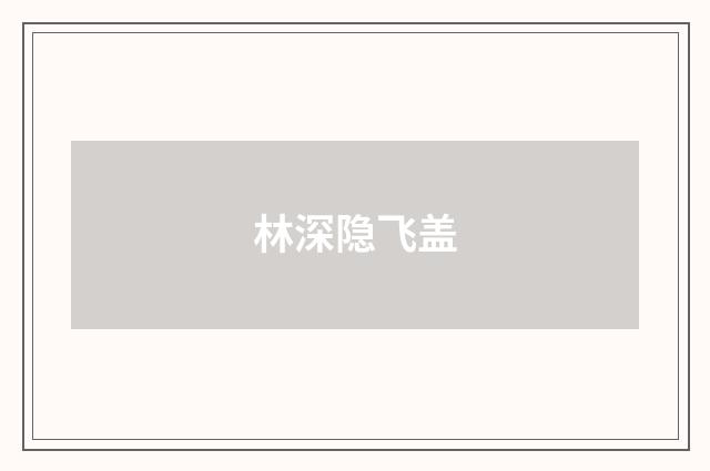 林深隐飞盖