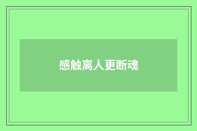 感触离人更断魂
