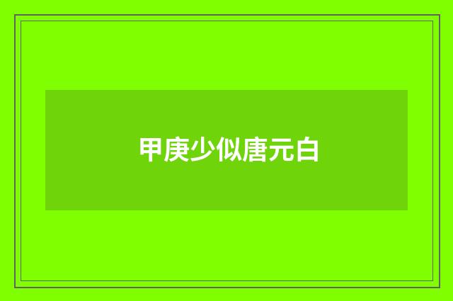 甲庚少似唐元白
