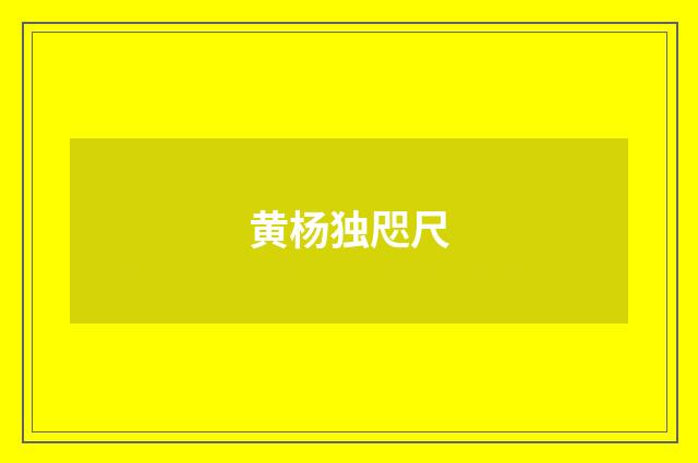 黄杨独咫尺