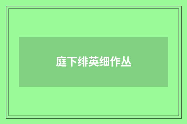 庭下绯英细作丛