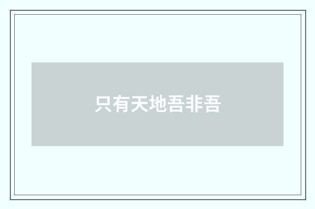 只有天地吾非吾