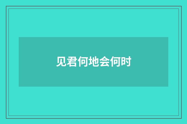 见君何地会何时