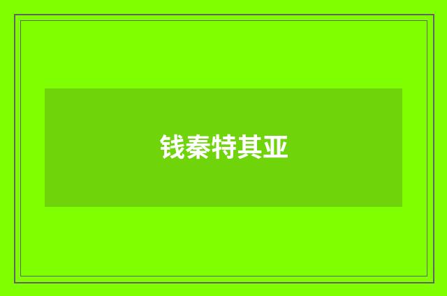 钱秦特其亚