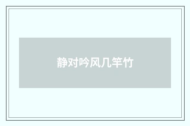 静对吟风几竿竹