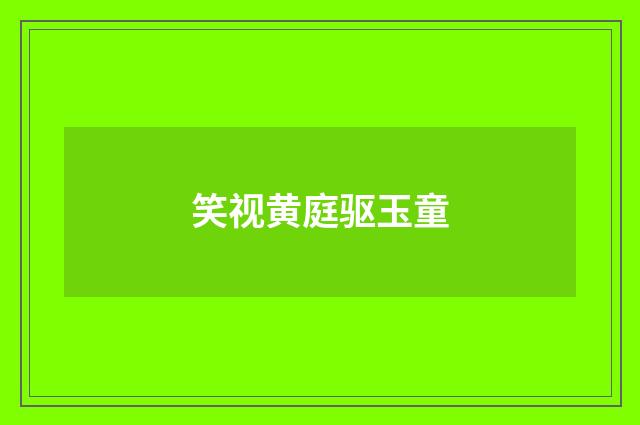 笑视黄庭驱玉童