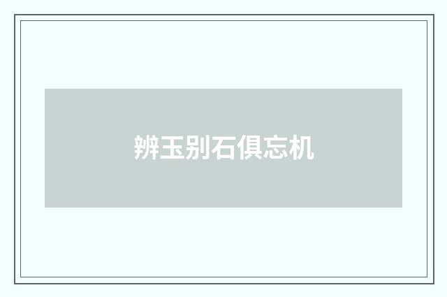 辨玉别石俱忘机