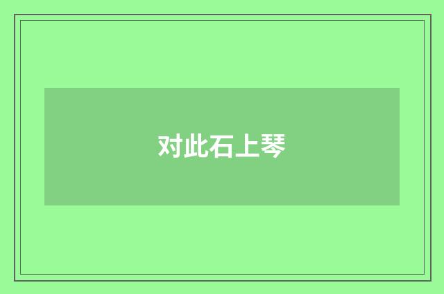 对此石上琴