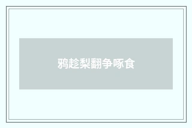 鸦趁梨翻争啄食