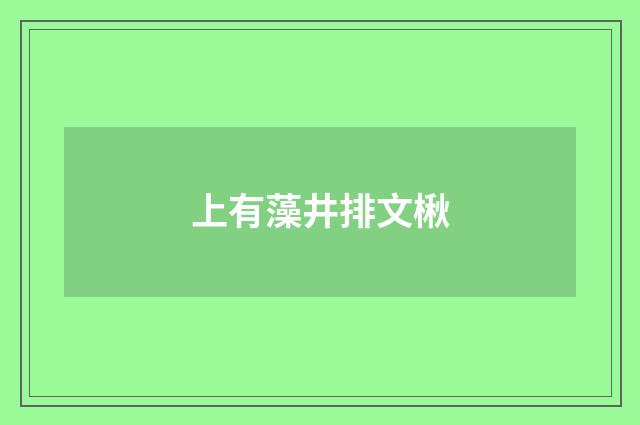 上有藻井排文楸
