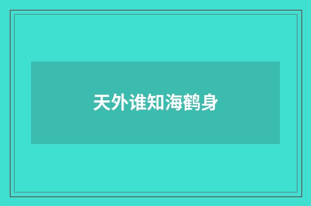天外谁知海鹤身