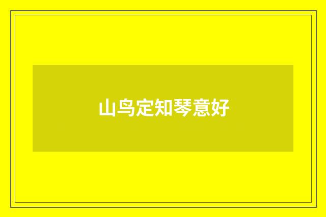 山鸟定知琴意好