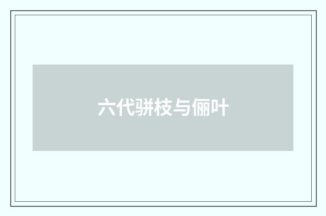 六代骈枝与俪叶