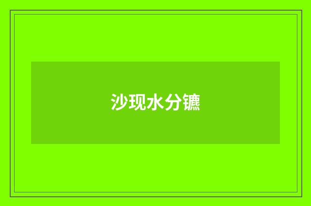 沙现水分镳