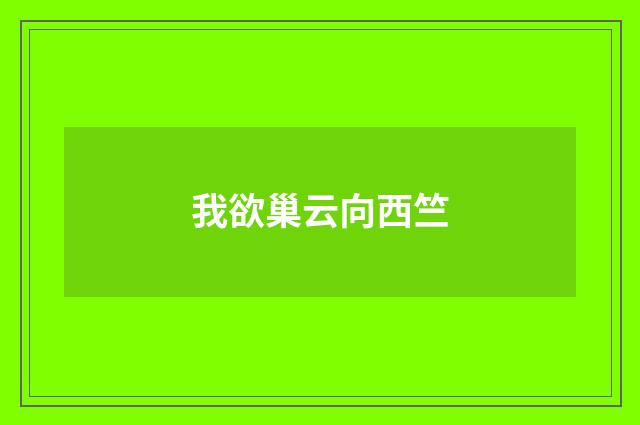 我欲巢云向西竺