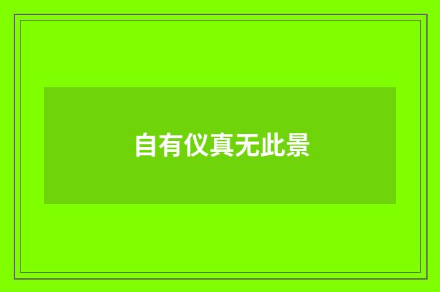 自有仪真无此景