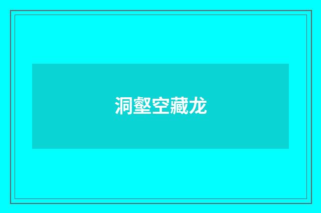 洞壑空藏龙