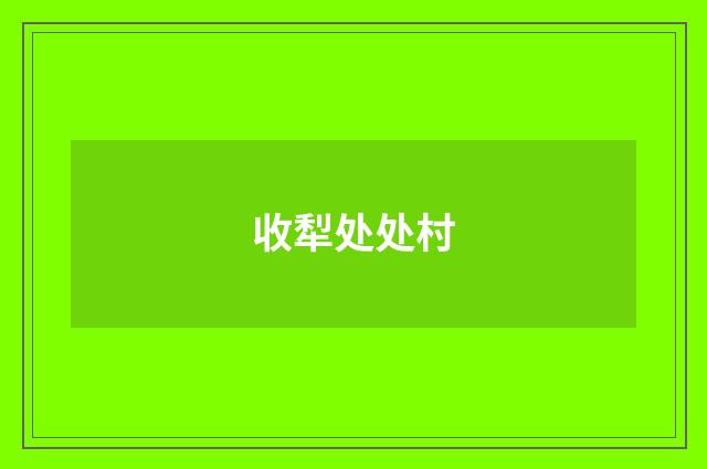 收犁处处村