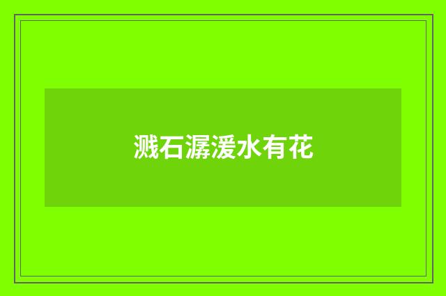 溅石潺湲水有花