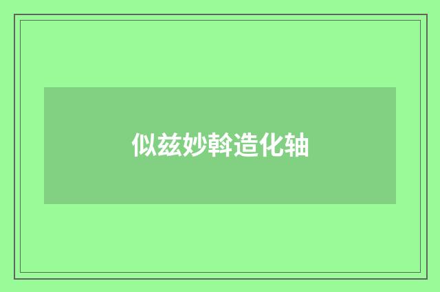 似兹妙斡造化轴