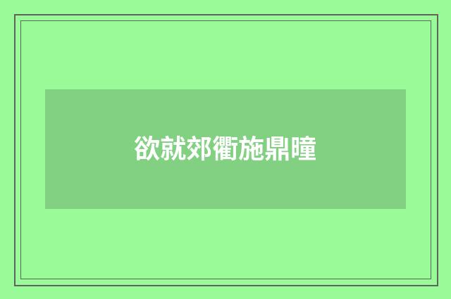 欲就郊衢施鼎曈