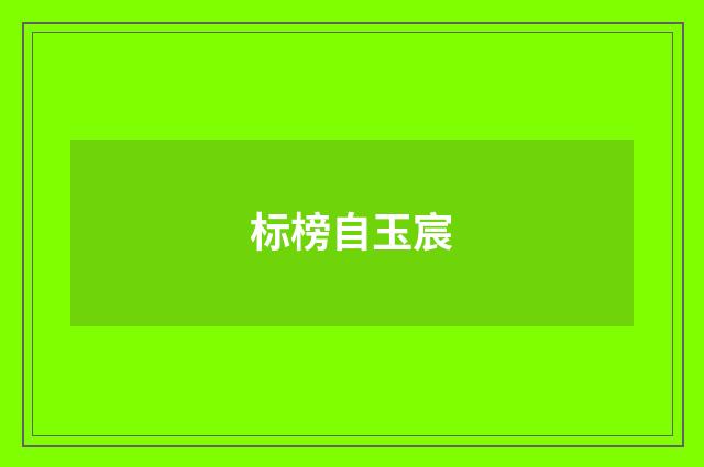 标榜自玉宸