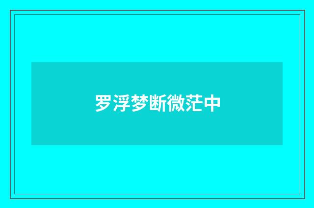 罗浮梦断微茫中