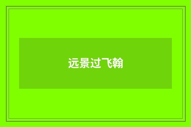 远景过飞翰