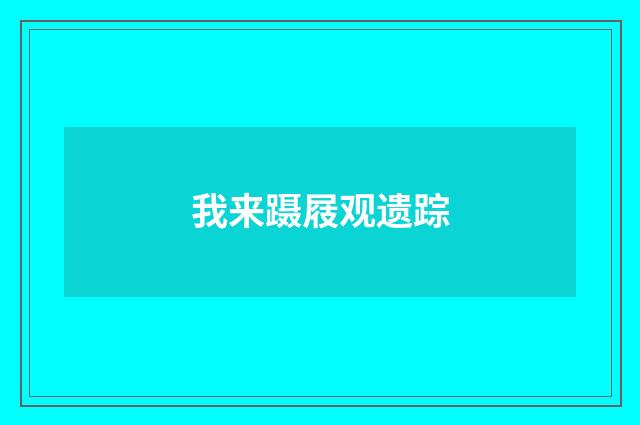 我来蹑屐观遗踪