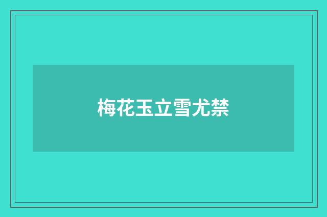 梅花玉立雪尤禁