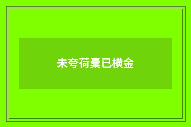 未夸荷橐已横金