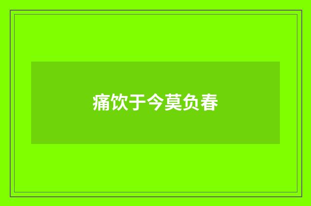 痛饮于今莫负春
