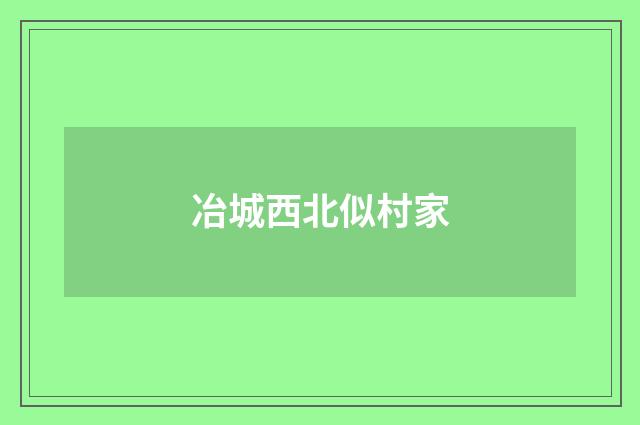 冶城西北似村家