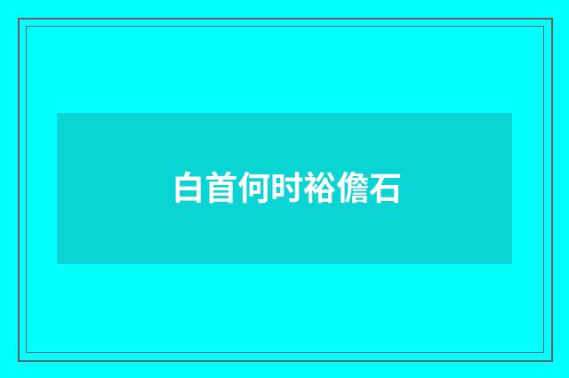 白首何时裕儋石