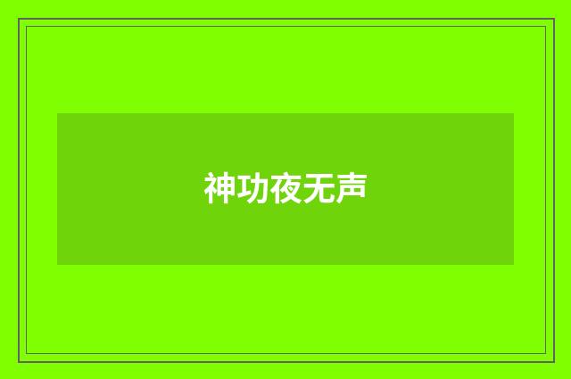 神功夜无声