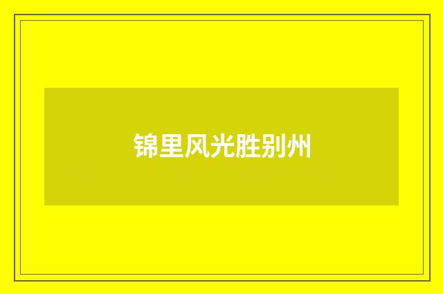 锦里风光胜别州